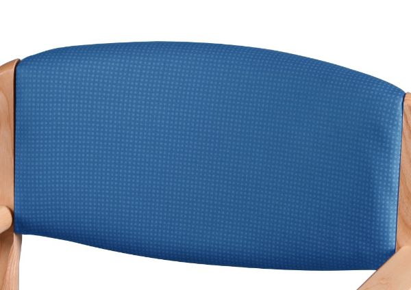 Picture of Back Pad for a Royale Commode 