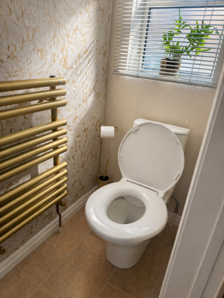 Picture of Big John Toilet Seat